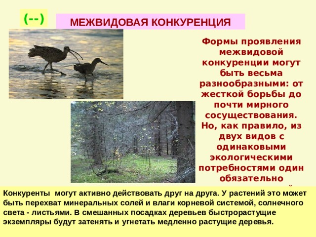 11 класс. Биология. "Биотические взаимодействия".