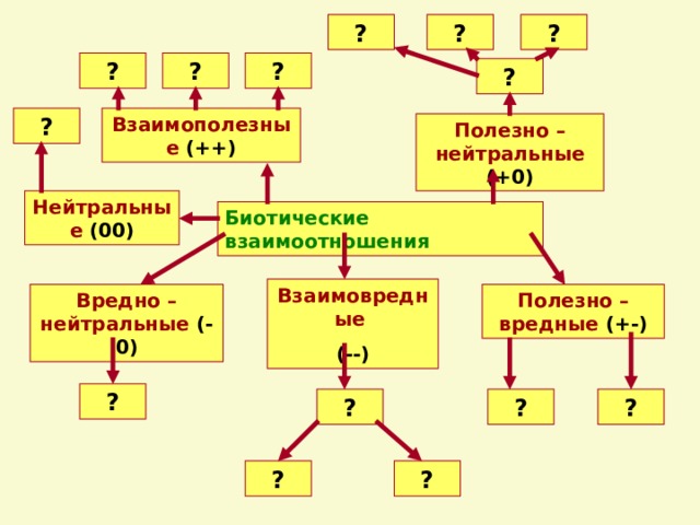 Презентация на тему биотические связи в природе 9 класс биология