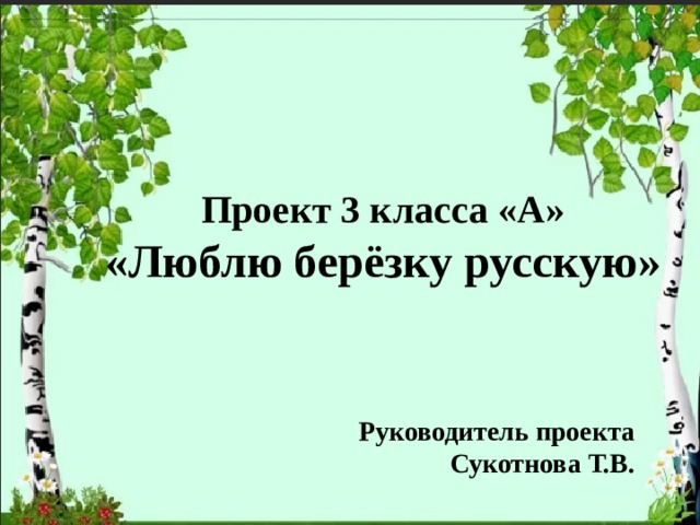 Проект люблю березку русскую