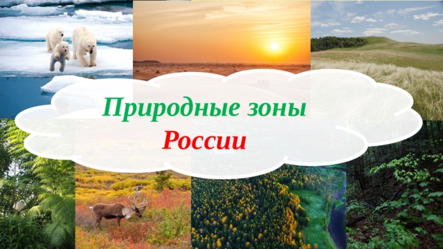 Природные зоны  России 