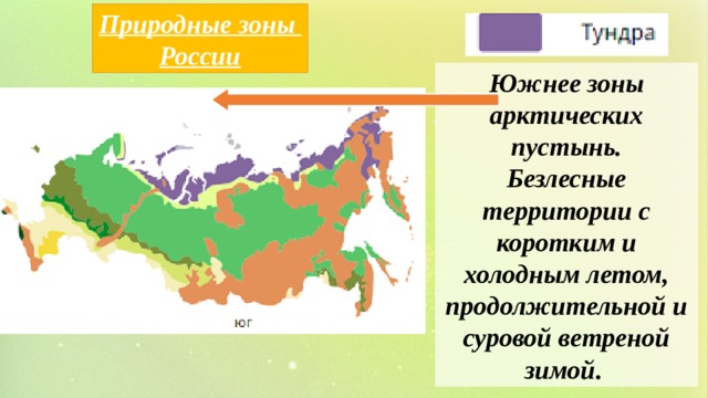 Природные зоны России Южнее зоны арктических пустынь. Безлесные территории с коротким и холодным летом, продолжительной и суровой ветреной зимой. 