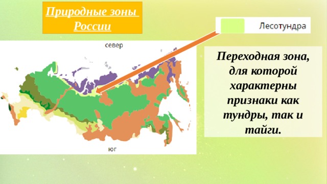 Природные зоны России Переходная зона, для которой характерны признаки как тундры, так и тайги. 
