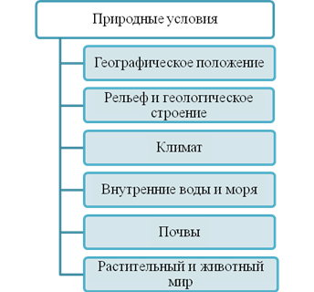 Природные условия и их влияние на развитие жизни на планете