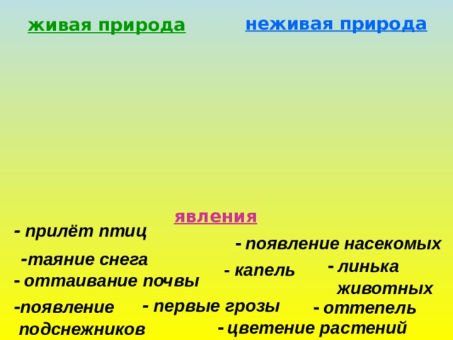 неживая природа живая природа явления - прилёт птиц -  появление насекомых - таяние снега -  линька  животных - капель -  оттаивание почвы - первые грозы - появление  подснежников -  оттепель -  цветение растений 