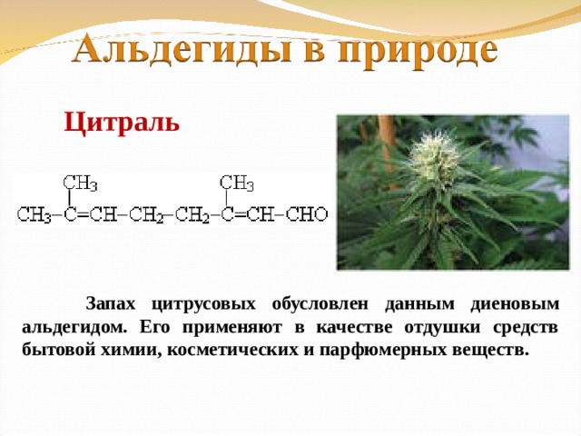 Цитраль  Запах цитрусовых обусловлен данным диеновым альдегидом. Его применяют в качестве отдушки средств бытовой химии, косметических и парфюмерных веществ.