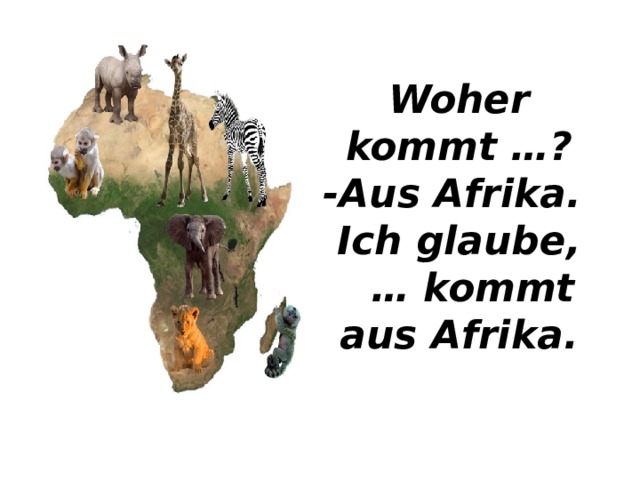 Woher kommt …?  -Aus Afrika.  Ich glaube,  … kommt aus Afrika. 