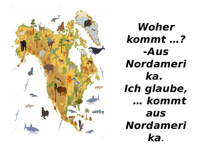 Woher kommt …?  -Aus Nordamerika.  Ich glaube,  … kommt aus Nordamerika . 