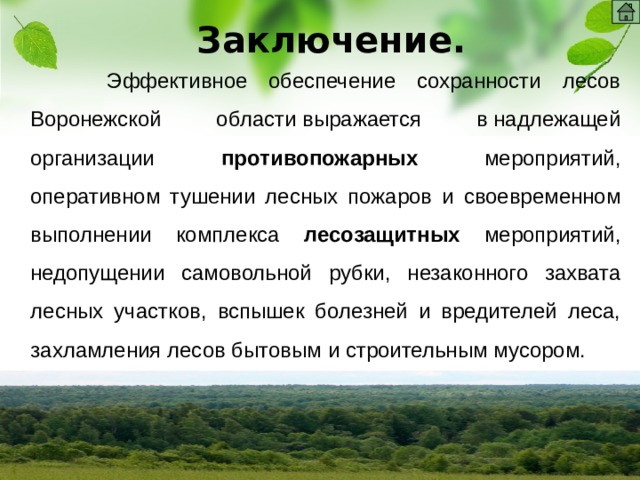 Заключение.  Эффективное обеспечение сохранности лесов Воронежской области выражается в надлежащей организации противопожарных мероприятий, оперативном тушении лесных пожаров и своевременном выполнении комплекса лесозащитных мероприятий, недопущении самовольной рубки, незаконного захвата лесных участков, вспышек болезней и вредителей леса, захламления лесов бытовым и строительным мусором. 