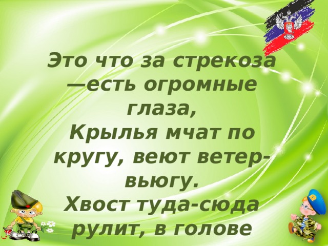 Это что за стрекоза —есть огромные глаза, Крылья мчат по кругу, веют ветер-вьюгу. Хвост туда-сюда рулит, в голове пилот сидит.    