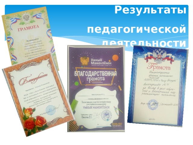 Результаты  педагогической  деятельности 
