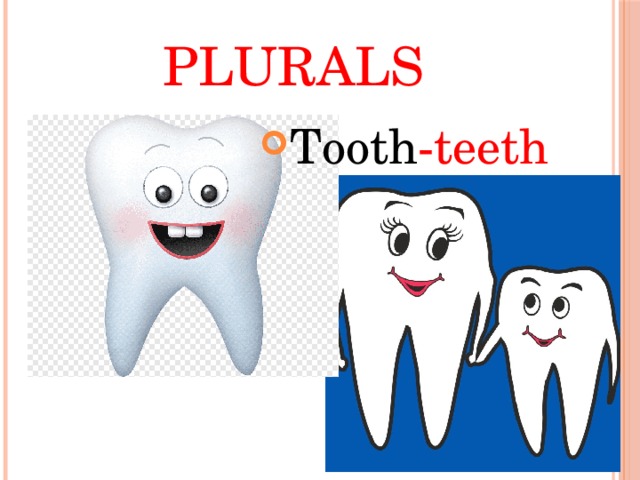 Plurals Tooth -teeth 