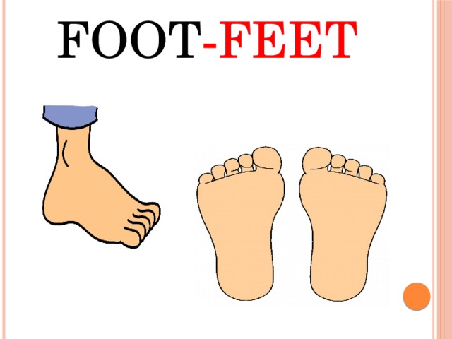 Foot -Feet 
