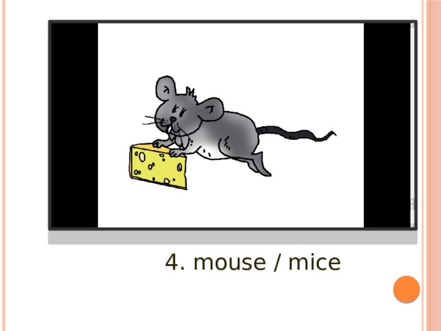 4. mouse / mice 