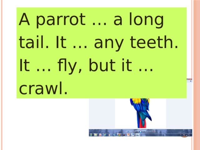 A parrot … a long tail. It … any teeth. It … fly, but it … crawl. 