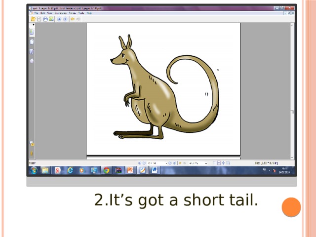 2.It’s got a short tail. 