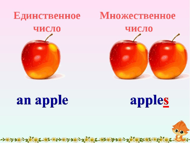 Картинка множественное число в английском языке