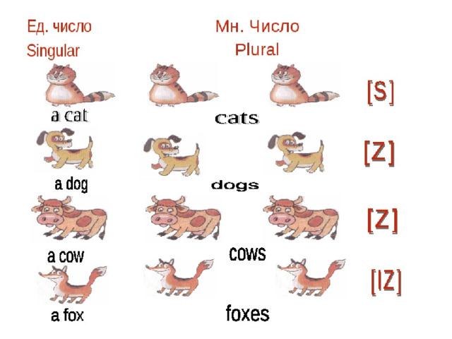 Картинка множественное число в английском языке