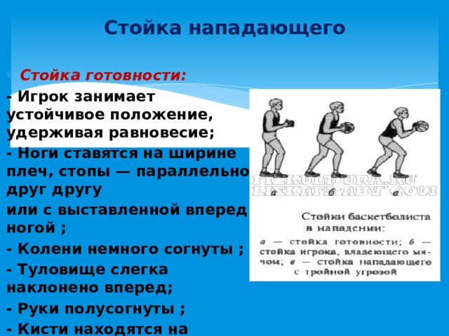 Стойка нападающего Стойка готовности:  - Игрок занимает устойчивое положение, удерживая равновесие; - Ноги ставятся на ширине плеч, стопы — параллельно друг другу или с выставленной вперед ногой ; - Колени немного согнуты ; - Туловище слегка наклонено вперед; - Руки полусогнуты ; - Кисти находятся на уровне груди. 