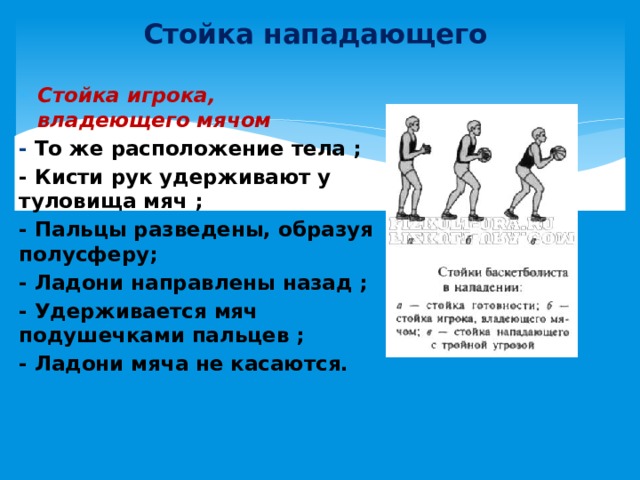 Стойка нападающего Стойка игрока, владеющего мячом - То же расположение тела ; - Кисти рук удерживают у туловища мяч ; - Пальцы разведены, образуя полусферу; - Ладони направлены назад ; - Удерживается мяч подушечками пальцев ; - Ладони мяча не касаются. 