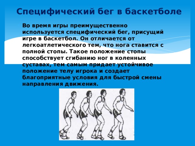 Специфический бег в баскетболе Во время игры преимущественно используется специфический бег, присущий игре в баскетбол. Он отличается от легкоатлетического тем, что нога ставится с полной стопы. Такое положение стопы способствует сгибанию ног в коленных суставах, тем самым придает устойчивое положение телу игрока и создает благоприятные условия для быстрой смены направления движения.   
