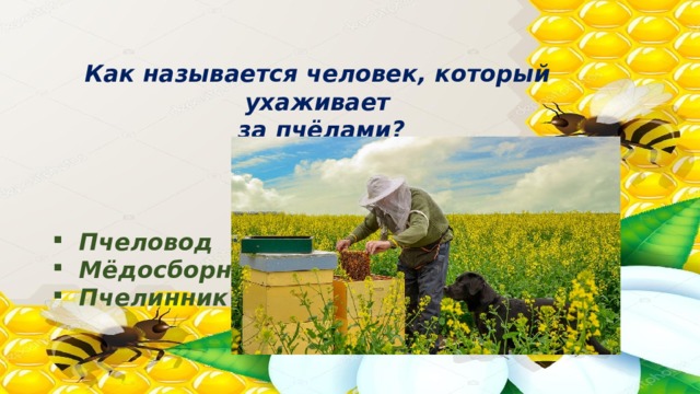 Как называется человек, который ухаживает  за пчёлами?    Пчеловод Мёдосборник Пчелинник   