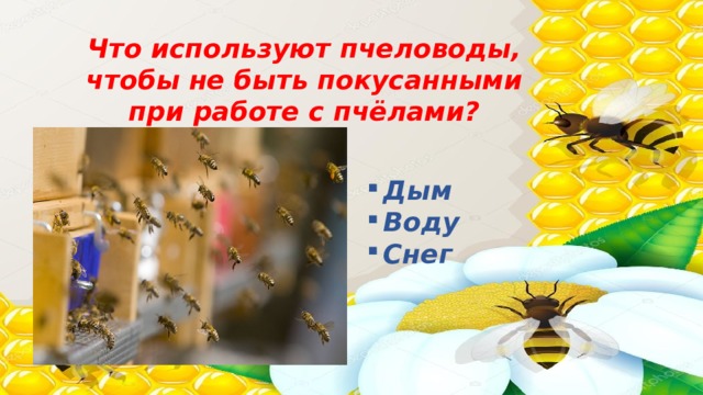 Что используют пчеловоды, чтобы не быть покусанными при работе с пчёлами?  Дым Воду Снег 