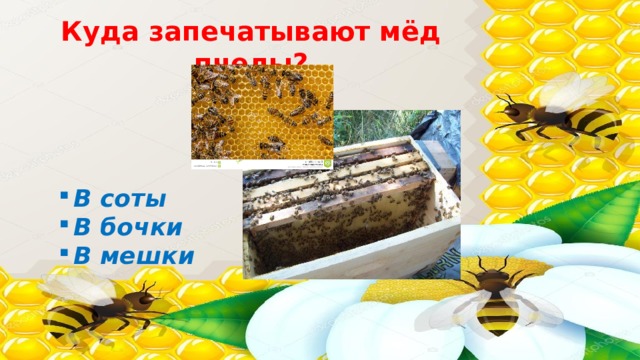 Куда запечатывают мёд пчелы? В соты В бочки В мешки 