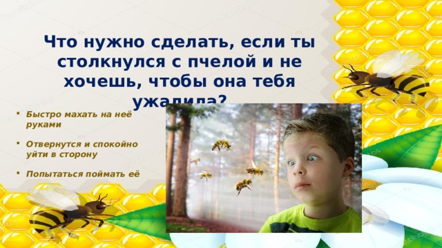 Что нужно сделать, если ты столкнулся с пчелой и не хочешь, чтобы она тебя ужалила? Быстро махать на неё руками  Отвернутся и спокойно уйти в сторону  Попытаться поймать её 