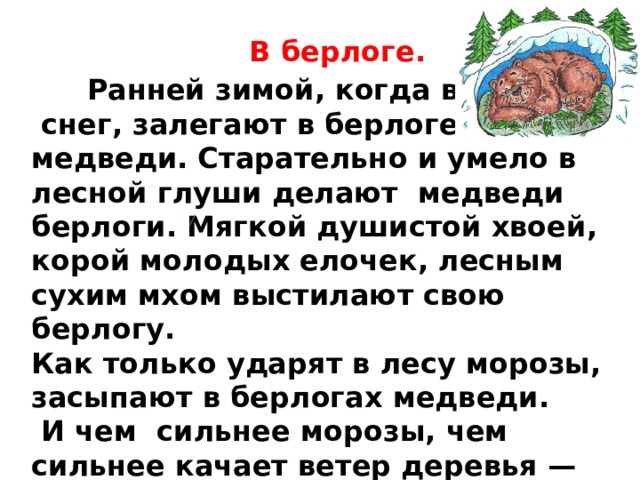 В берлоге.  Ранней зимой, когда выпадет  снег, залегают в берлоге медведи. Старательно и умело в лесной глуши делают медведи берлоги. Мягкой душистой хвоей, корой молодых елочек, лесным сухим мхом выстилают свою берлогу. Как только ударят в лесу морозы, засыпают в берлогах медведи.  И чем сильнее морозы, чем сильнее качает ветер деревья — крепче спят медведи. 