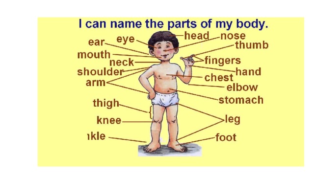 Toes произношение на английском. Parts of the body карточки. Звуки в английском языке транскрипция и произношение. Toes произношение на английском. Зарядка head shoulders knees and toes.