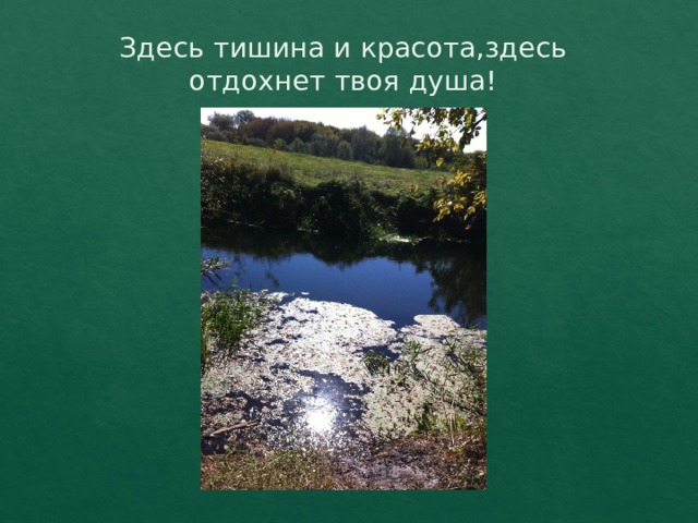 Здесь тишина и красота,здесь отдохнет твоя душа! 