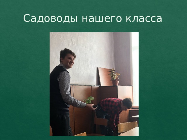 Садоводы нашего класса 