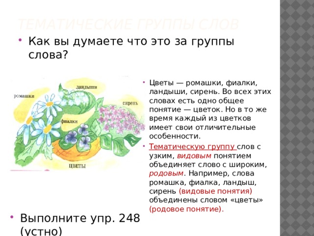 Слово значение слова тематические группы слов. Тематические группы слов растения. Тематические группы слова цвет. Тематические группы слов лето. Тематические группы слов 5 класс.