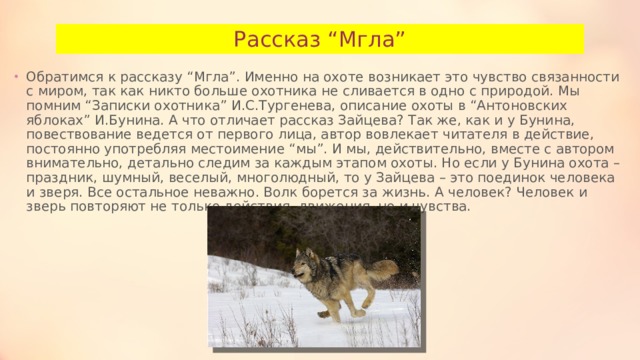 Рассказ “Мгла” Обратимся к рассказу “Мгла”. Именно на охоте возникает это чувство связанности с миром, так как никто больше охотника не сливается в одно с природой. Мы помним “Записки охотника” И.С.Тургенева, описание охоты в “Антоновских яблоках” И.Бунина. А что отличает рассказ Зайцева? Так же, как и у Бунина, повествование ведется от первого лица, автор вовлекает читателя в действие, постоянно употребляя местоимение “мы”. И мы, действительно, вместе с автором внимательно, детально следим за каждым этапом охоты. Но если у Бунина охота – праздник, шумный, веселый, многолюдный, то у Зайцева – это поединок человека и зверя. Все остальное неважно. Волк борется за жизнь. А человек? Человек и зверь повторяют не только действия, движения, но и чувства. 