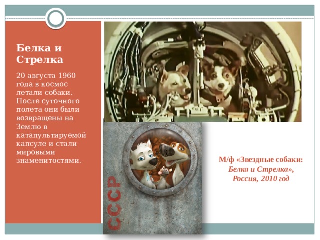 Белка и  Стрелка 20 августа 1960 года в космос летали собаки. После суточного полета они были возвращены на Землю в катапультируемой капсуле и стали мировыми знаменитостями. М/ф «Звездные собаки: Белка и Стрелка», Россия, 2010 год 