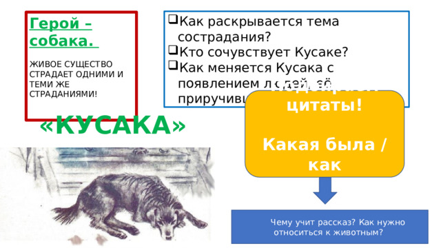 Как раскрывается тема сострадания? Кто сочувствует Кусаке? Как меняется Кусака с появлением людей, её приручивших? Герой – собака. ЖИВОЕ СУЩЕСТВО СТРАДАЕТ ОДНИМИ И ТЕМИ ЖЕ СТРАДАНИЯМИ! Подбираем цитаты!  Какая была / как изменилась . «КУСАКА»  Чему учит рассказ? Как нужно относиться к животным? 
