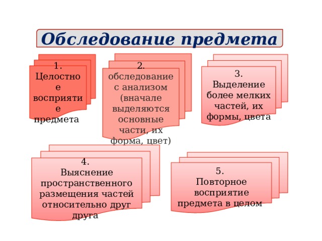 Обследование предмета 2. обследование с анализом (вначале выделяются основные части, их форма, цвет) 1. 3. Целостное восприятие предмета Выделение более мелких частей, их формы, цвета 4. Выяснение пространственного размещения частей относительно друг друга 5. Повторное восприятие предмета в целом 