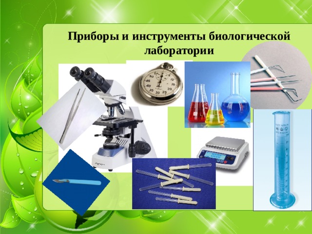 Приборы и инструменты биологической лаборатории 