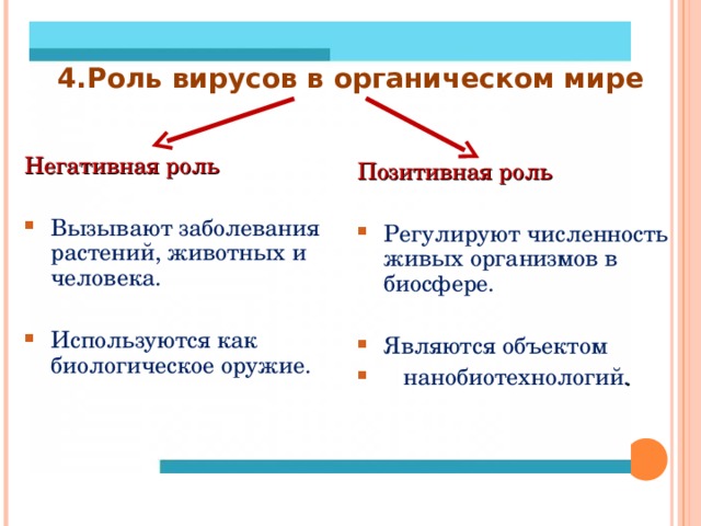 Роль вирусов в природе 5 класс. Роль вирусов в органическом мире. Положительная и отрицательная роль вирусов. Отрицательная роль вирусов. Позитивная и негативная роль вирусов.