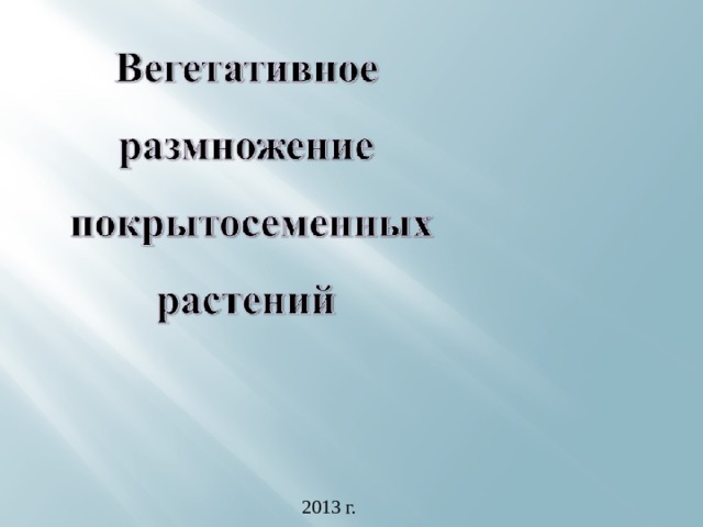 2013 г.
