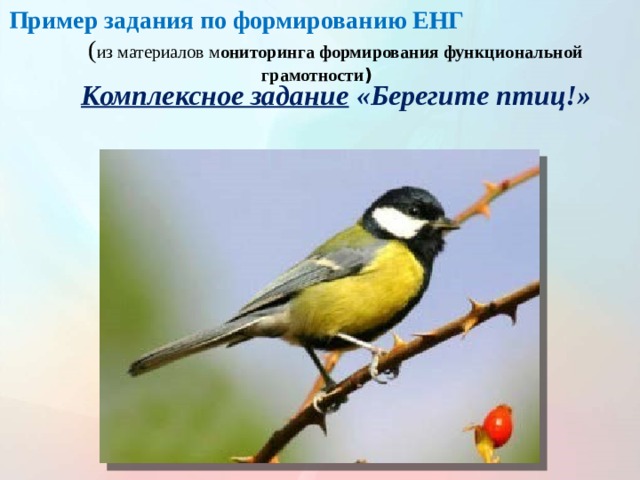 Пример задания по формированию ЕНГ ( из материалов м ониторинга формирования функциональной грамотности )  Комплексное задание «Берегите птиц!» 