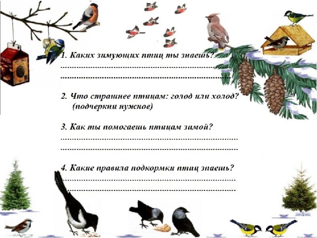 Где зимуют птицы 1 класс окружающий мир школа россии презентация и конспект