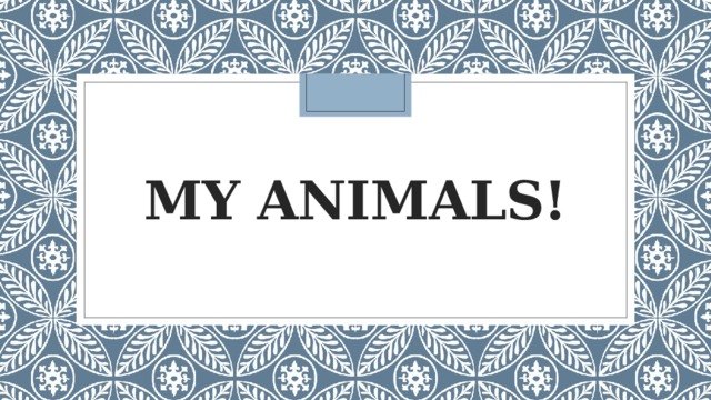 My animals! 