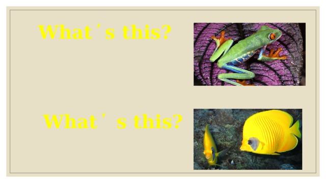 What ̕ s this? What ̕ s this? 