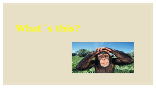 What ̕ s this? 