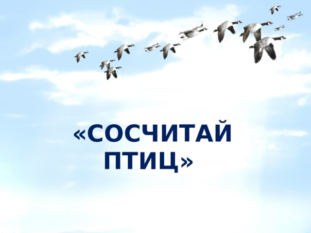«СОСЧИТАЙ ПТИЦ»  