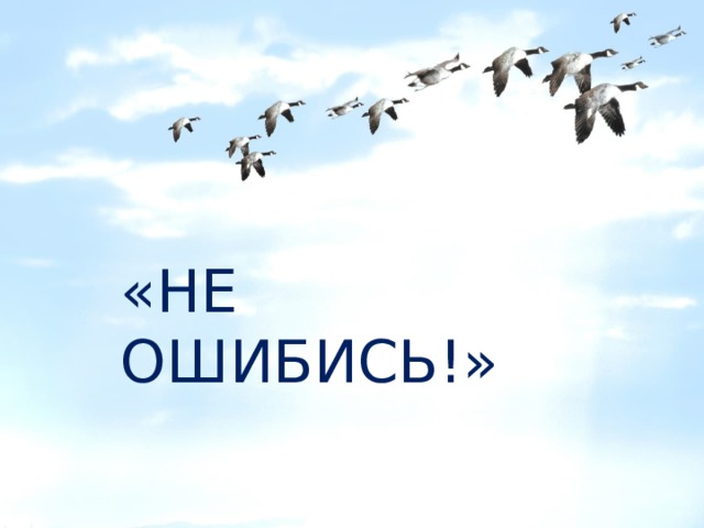 «НЕ ОШИБИСЬ!» 