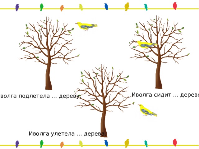 Иволга сидит … дереве. Иволга подлетела … дереву. Иволга улетела … дерева. 