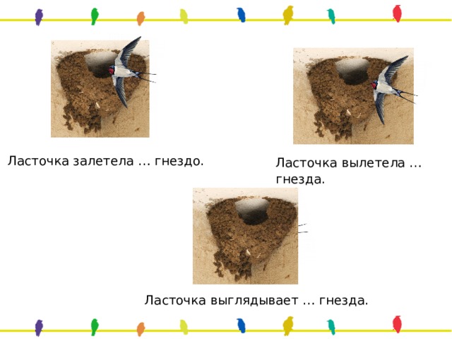 Ласточка залетела … гнездо. Ласточка вылетела … гнезда. Ласточка выглядывает … гнезда. 