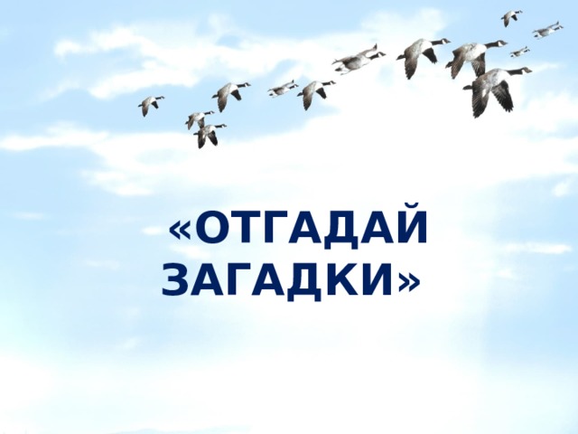 «ОТГАДАЙ ЗАГАДКИ»  